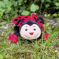 Frieda - Tier der Gruppe 5